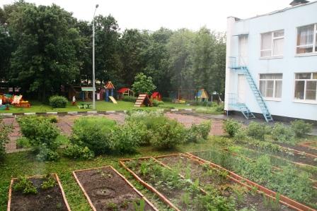 Gartenprojekt im Kindergarten "Nr. 1645", Anbau von Gemüse und Kräutern